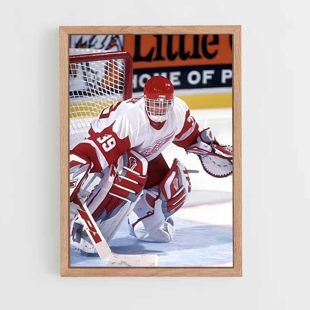 Poster La Légende de Hasek – affiche Hockey sur glace (vue 4)